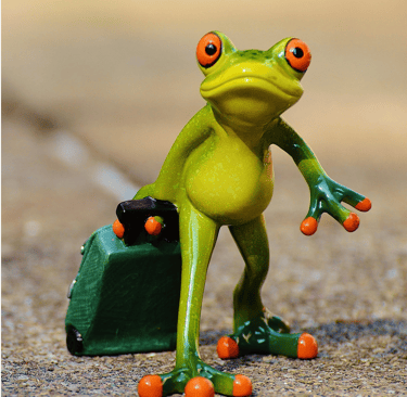 Awww. Gotta admire little frog buddy traveling with light luggage. Save that money, sir.
