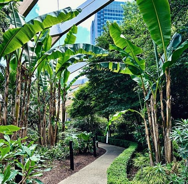 Crossrail Place Roof Garden (Canary Wharf)