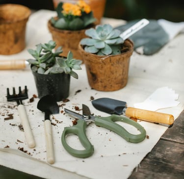 Houseplant tools with pruning shears