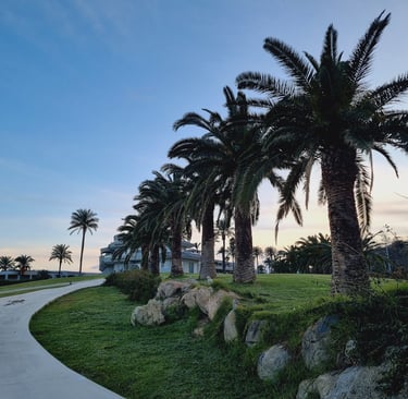 Luxury tropical resort landscape featuring palm trees, a green lawn, and a walkway at sunset.