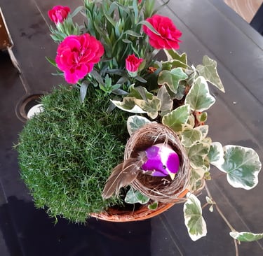 Flower with pink petals