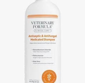 a bottle of veterinary fromula antiseptic and antifungal shampoo
