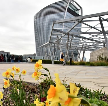 Le Sky Garden vu depuis The Garden at 120