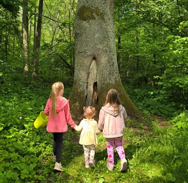 Mergaitės tyrinėja Buktos miškus