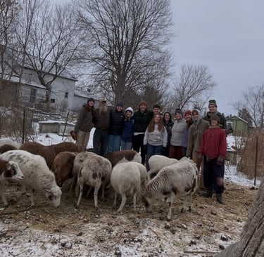 A group of young people standing with a flock of sheep on a snowy farm in winter.