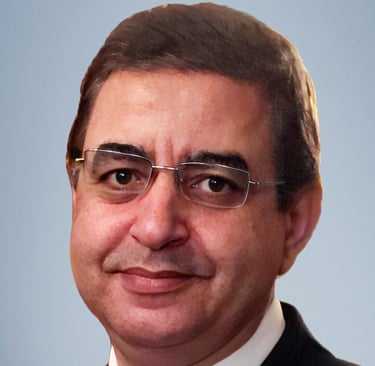 أ.د. محمد السباعي