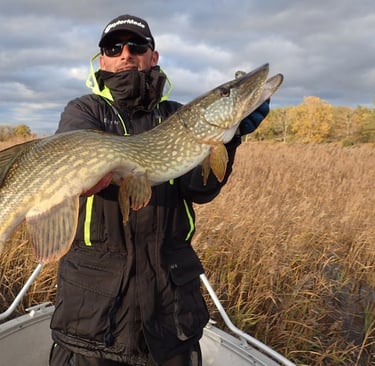 un pêcheur tient un gros brochet en suede