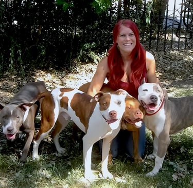 Rock of Love's Lacey Sculls rescues 4 Pit Bulls from euthanasia, through her group, Heroes K9 Rescue