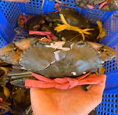 double skinned crabs