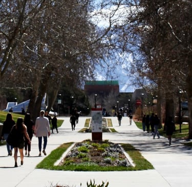 The University of Utah path near Tanner Plaza