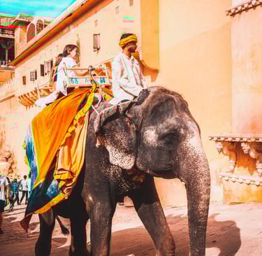 Tourists taking an elephant ride at Amer Fort in Jaipur, Rajasthan, with yellow palace walls.