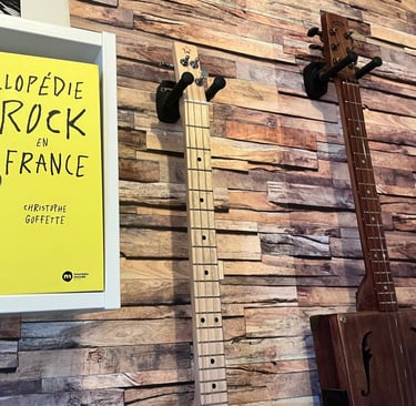 Photo sur une étagère de la couverture de l'encyclopédie du rock