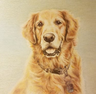 "Golden Retriever", colored pencil on 9x12 paper, Laura Roy artist, January 2020