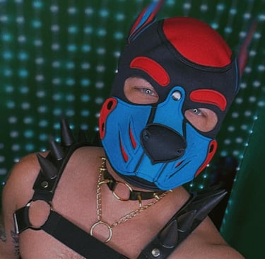 A man in his pup mask and gear.