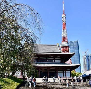 Vue de la Tokyo Tower depuis Zōjō-ji temple