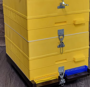 ANEL Insulated Hive