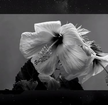 Alpha Steppa x Nai-Jah - Omo Kibish