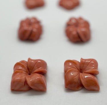 fiori in corallo, incisioni