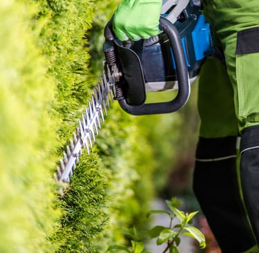 hedge cutting
