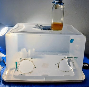 a still air box