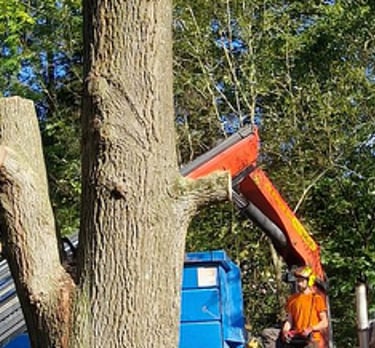camion d'élagage en plein action de ramassage de branches