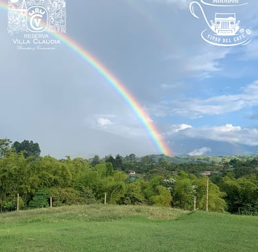sitios para visitar en pereira