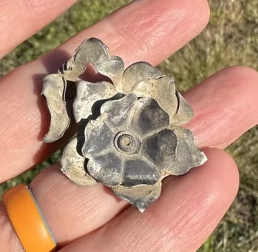 1800s ladies silver brooch