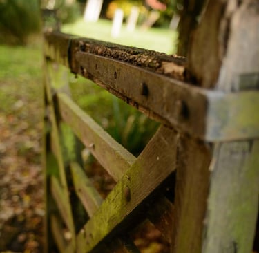 Picture of a wooden gate to the churchyard in Duxford. Photographer: Slawek Dejneka