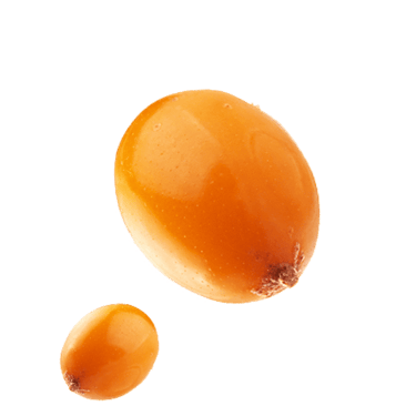 wellwithayuzera seabuckthorn berry