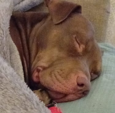 Dean sleeping