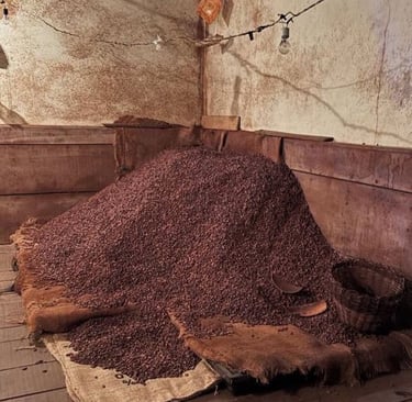 tas de graines de cacao