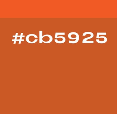 Branding - code couleur Soleado studio - studio de graphisme à Liège