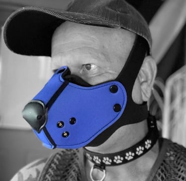 Man in pup half-mask and ball cap.