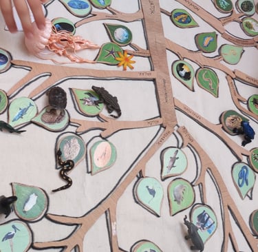 The Tree of Life - a Hands-on Approach to Biology/Classification