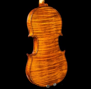 violino