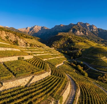 KWRYO, vinedo en las montañas