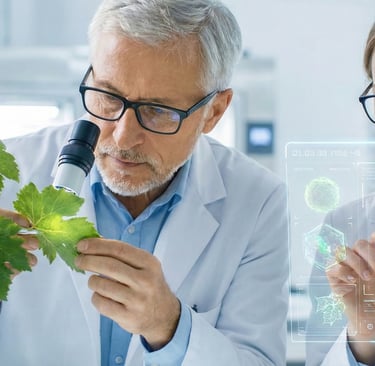 KWRYO, Insights Precision Analytics