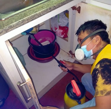 Professional pest control worker spraying pesticide under a kitchen sink using a respirator mask.