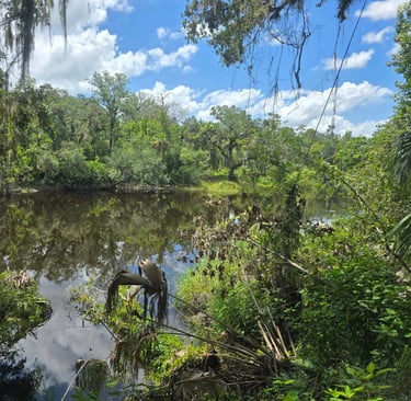 River at Little Big Econ Trail