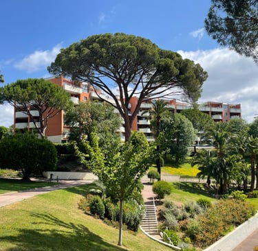 cannes ouest - appartement renové - 3 chambres - piscine - garage