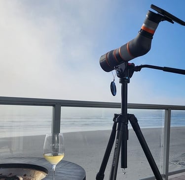 Blog post image link of digiscoping with a spotting scope at the beach