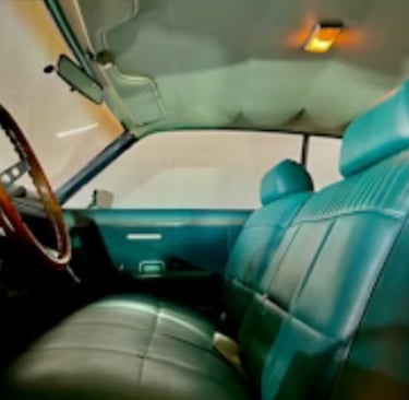 Vintage car interior cleaning and restoration detailing Jackson MI