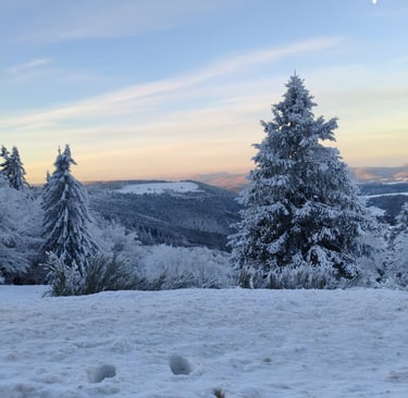 a snow covered mountain with trees and a moon