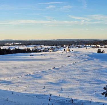 a person is skiing down a snowy hill