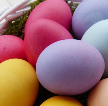 como colorir ovos de aves 