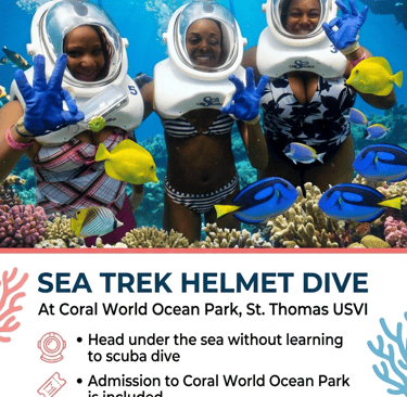 Underwater scuba helmet dive Sea Trek