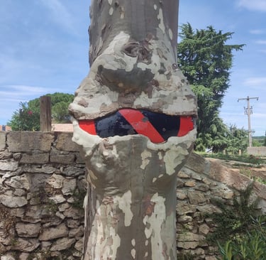 Résilience impressionnante d'un platane