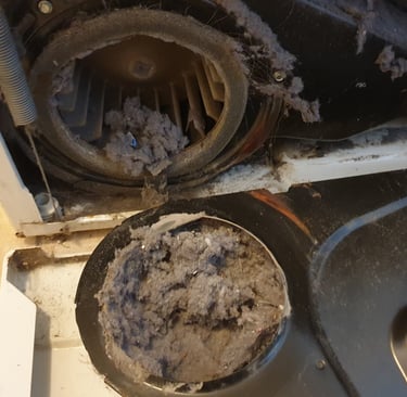 Clean lint from inside the dryer located in Collier County