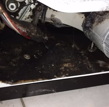 Burned lint inside of clothes dryer located in St James City