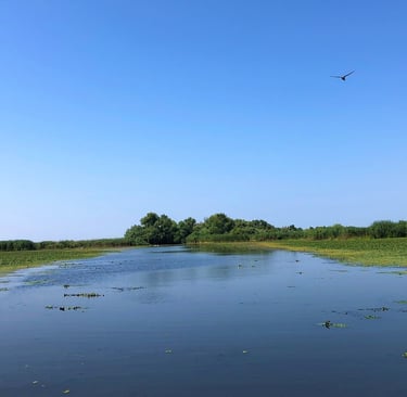 channel in danube delta
